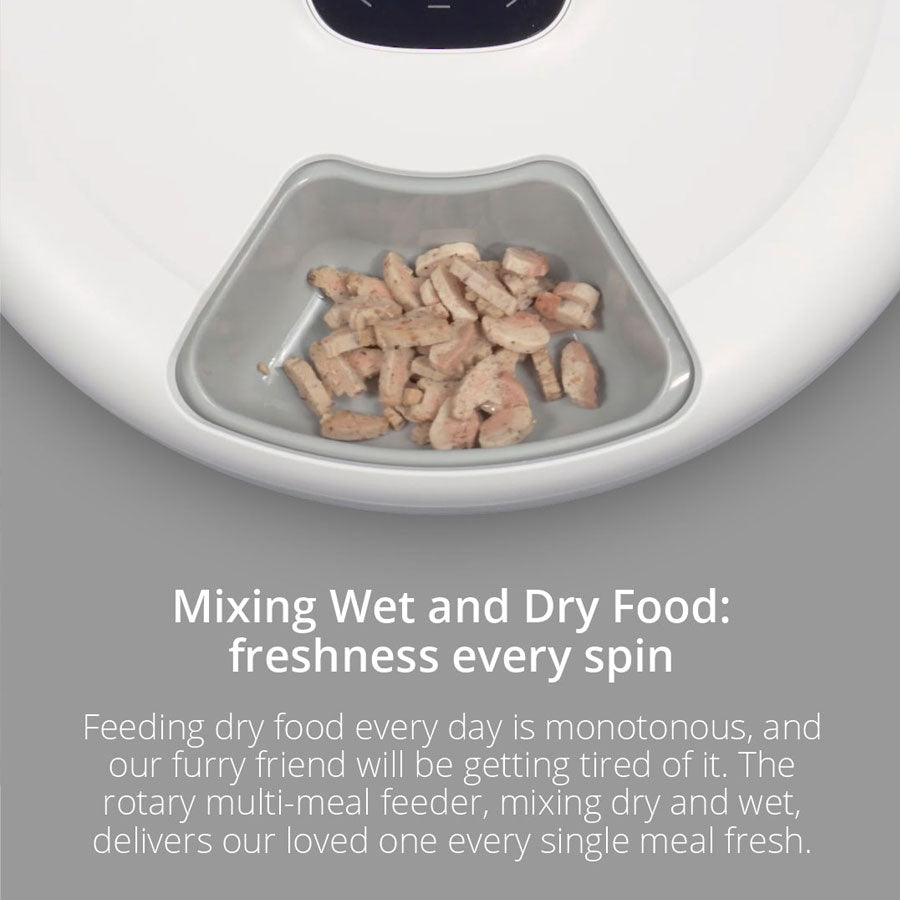 Denhip NutriSpin 6 Meal Pet Feeder - PF006