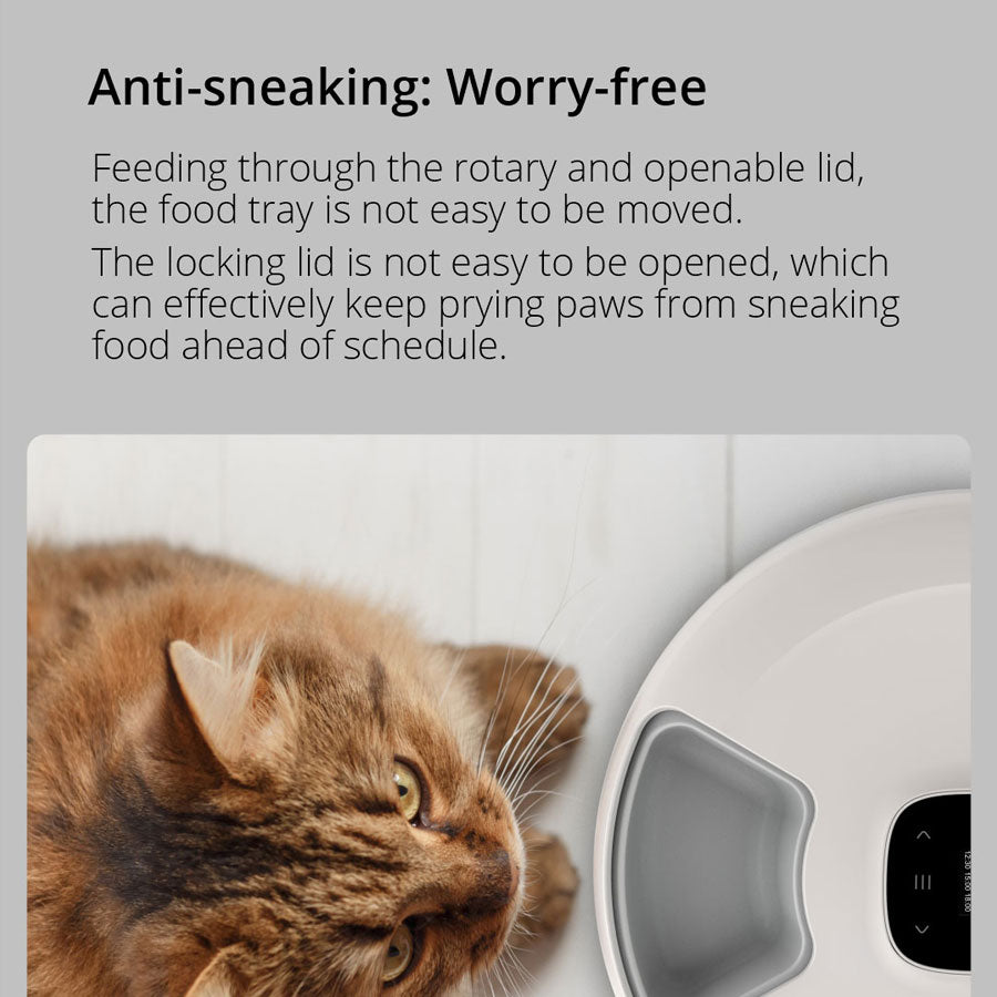 Denhip NutriSpin 6 Meal Pet Feeder - PF006