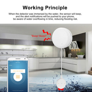 Denhip Smart Flood Sensor - WiFi Water Flood Sensor - WFS-01