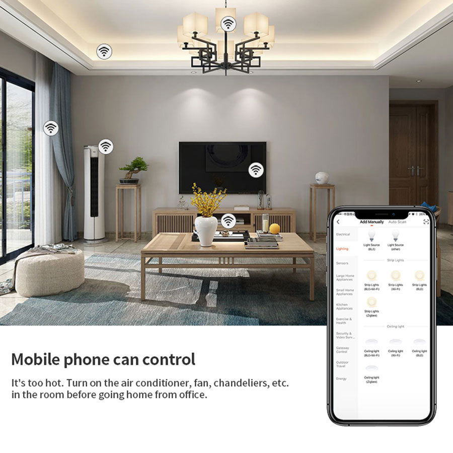 Denhip Smart Plug - Universal 10A - SW-UP202